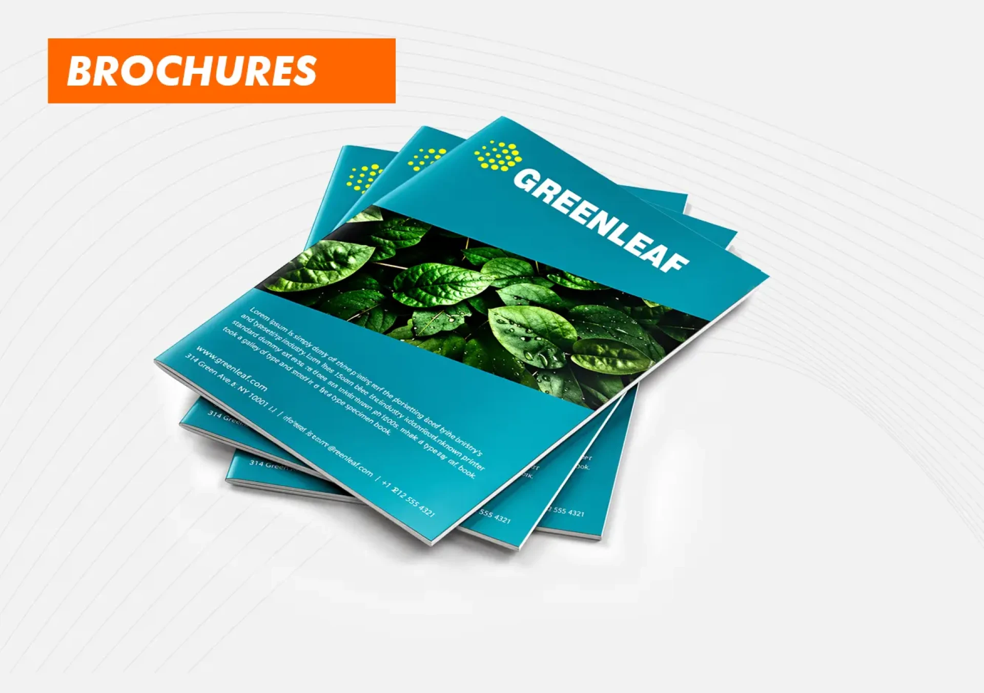 Brochures